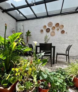 昆卡Casa Isabel的庭院配有桌椅和植物