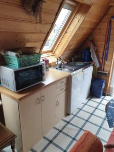 RambinRuegen_Fewo 41的厨房配有微波炉和炉灶。
