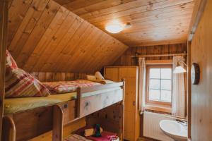 米尔施塔特Alexanderhütte - nur zu Fuß erreichbar的小木屋内一间卧室配有一张双层床