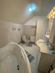 马拉亚Mountain escape in Carpathian的带浴缸、盥洗盆和卫生间的浴室