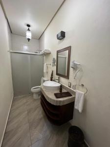 圣胡安德里奥Hotel Boutique Rincón de Luna的带浴缸、卫生间和盥洗盆的浴室