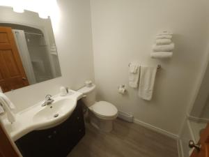 沃瓦Outdoorsman Motel的一间带水槽、卫生间和镜子的浴室