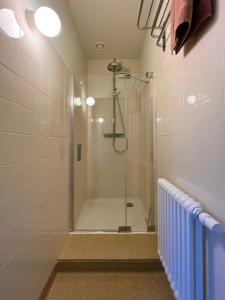 Hastière-par-delàVilla Michaux的浴室里设有玻璃门淋浴