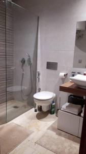 卡萨布兰卡Chez Miguel appartement Casablanca avec piscine的带淋浴、卫生间和盥洗盆的浴室