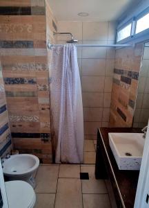 波特雷里约斯Piuquenes 2的带淋浴、卫生间和盥洗盆的浴室