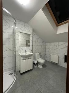 利沃夫Hotel Rover的浴室配有卫生间、盥洗盆和淋浴。
