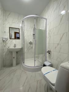 利沃夫Hotel Rover的带淋浴、卫生间和盥洗盆的浴室