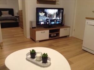 菲尔德施塔特EBH HOME的客厅配有电视和植物桌子