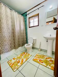 奥兰治沃克Lamanai Riverside Retreat的一间带卫生间和水槽的浴室