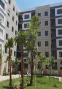 诺阿瑟Short Stay Apartment aéroport casablanca的一群棕榈树在一座建筑前