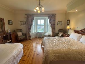 韦克斯福德Glendine Country House Wexford的一间卧室设有两张床和窗户。