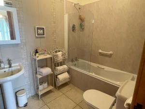 韦克斯福德Glendine Country House Wexford的带淋浴、浴缸和盥洗盆的浴室