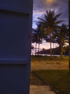 瓜鲁雅Pé na Areia Sons do Mar的一座种植了棕榈树的蓝色建筑
