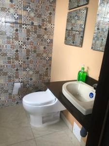 瓜塔维塔APTO 102 EN "ABADIA de TOMINE"的一间带卫生间和水槽的浴室
