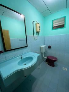 邦咯PANGKOR PURNAMA CHALET的一间带水槽、卫生间和镜子的浴室