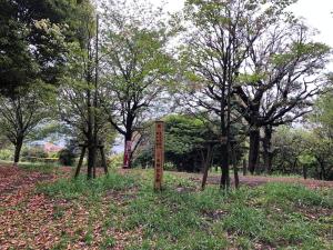 东京Daikanyama 42 VALUE ADD Apartments的树木繁茂的公园中央的标志