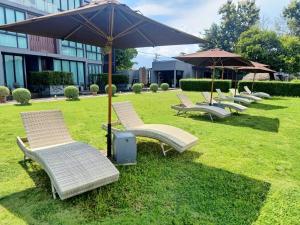 清迈Zensala Riverpark Resort-SHA Extra Plus的院子里的一排椅子和遮阳伞