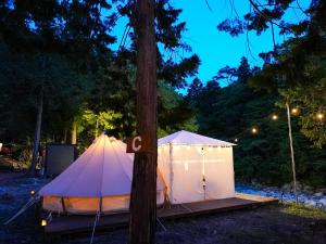 东近江市リバーサイドグランピングNuts的夜晚,帐篷在树旁搭建