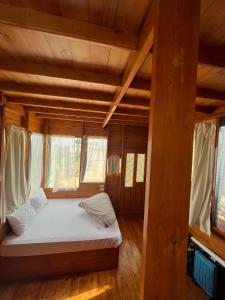‘Ezbet IlyâsMangrove Camp Fayoum的铺有木地板,设有窗户的客房内的一张床位