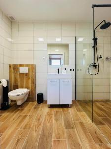 凯日马罗克V ulicke的浴室配有卫生间、盥洗盆和淋浴。