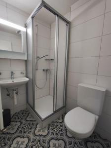 弗里堡Appartement tout confort rénové avec vue - Tilleul 5的带淋浴、卫生间和盥洗盆的浴室