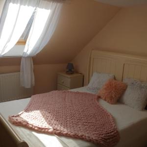 鲍科尼贝尔Parányi Porta Bakonybél的一间卧室配有一张带粉色毯子的床和窗户。