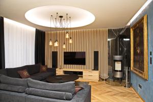 布拉迪斯拉发玛玛斯设计精品酒店的带沙发和电视的客厅