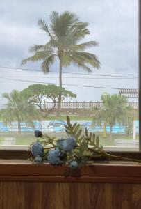 花莲市海戀初衷文旅 近東大門的享有棕榈树景致的窗户