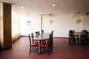 蒂米什瓦拉HOTEL DECENTRIA的一间用餐室,内设桌椅