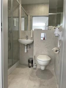 波利采多博思酒店的浴室配有卫生间、盥洗盆和淋浴。