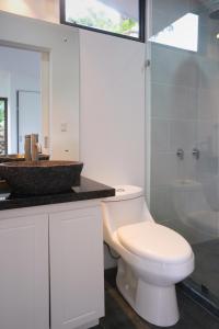 TinamasteCosta Rican Jungle Experience的浴室设有白色卫生间和玻璃淋浴间。