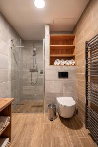 切尔尼杜尔Resort Aurum Residence A的带淋浴和卫生间的浴室。