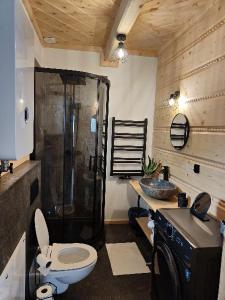 斯派特克维瑟beskid house的浴室配有卫生间、淋浴和盥洗盆。