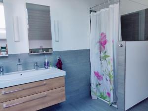施泰克博恩Bed & Breakfast Lake View的一间带水槽和淋浴帘的浴室