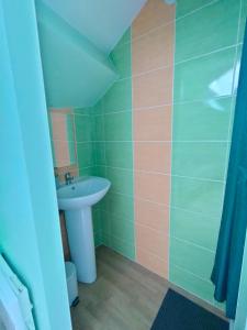卢尔德Luxury Loft Lourdes的一间带水槽和淋浴的小浴室