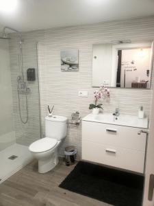 阿利坎特Loft Apartamento Sevilla 16的浴室配有卫生间、盥洗盆和淋浴。