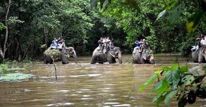 索拉哈Hotel Gainda Island Camp的一群人骑在大象的背上,在水中