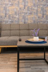 布拉索夫JAD - Luxury Studio - Soarelui 10的客厅配有沙发和桌子