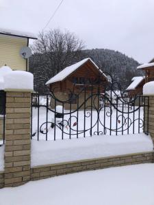 亚列姆切Yablunevyi Tsvit的铁门,上面有雪