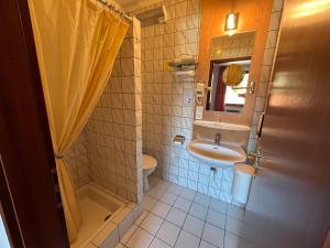 梅藏塔勒奶客栈的一间带水槽、卫生间和镜子的浴室