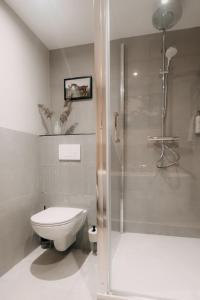 伊皮Witte Berken Natuurhotel的带淋浴、卫生间和盥洗盆的浴室