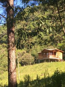 南卡希亚斯Cabana das Montanhas的山顶上树屋