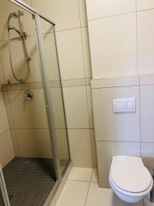温特和克DMN City at Merensky Apartment的一间带卫生间和淋浴的浴室