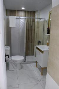 内夫谢希尔loftpalacesuit的浴室配有卫生间、淋浴和盥洗盆。