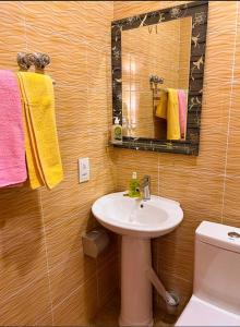 AshaimanRabban Apartment的一间带水槽、镜子和卫生间的浴室