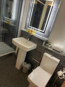 锡豪西斯Horncliffe room only accommodation的一间带水槽、卫生间和淋浴的浴室