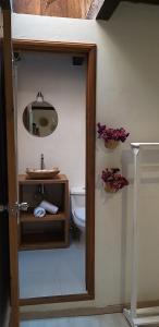圣克里斯托瓦尔-德拉斯卡萨斯Noma Bed & Breakfast的一间带卫生间、水槽和镜子的浴室