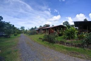 UpalaOski Lodge, Rain Forest Rincón de la Vieja的田野上房子旁边的土路