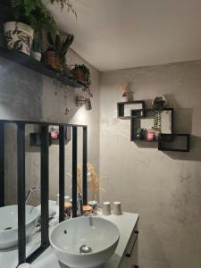 迪南Gite de la tannerie 3的浴室设有白色水槽和镜子