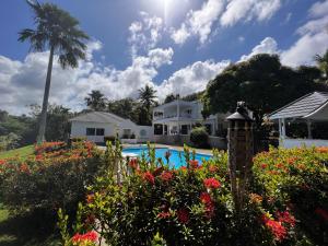 安东尼奥港All Nations Guest House的享有房子和鲜花游泳池的景色
